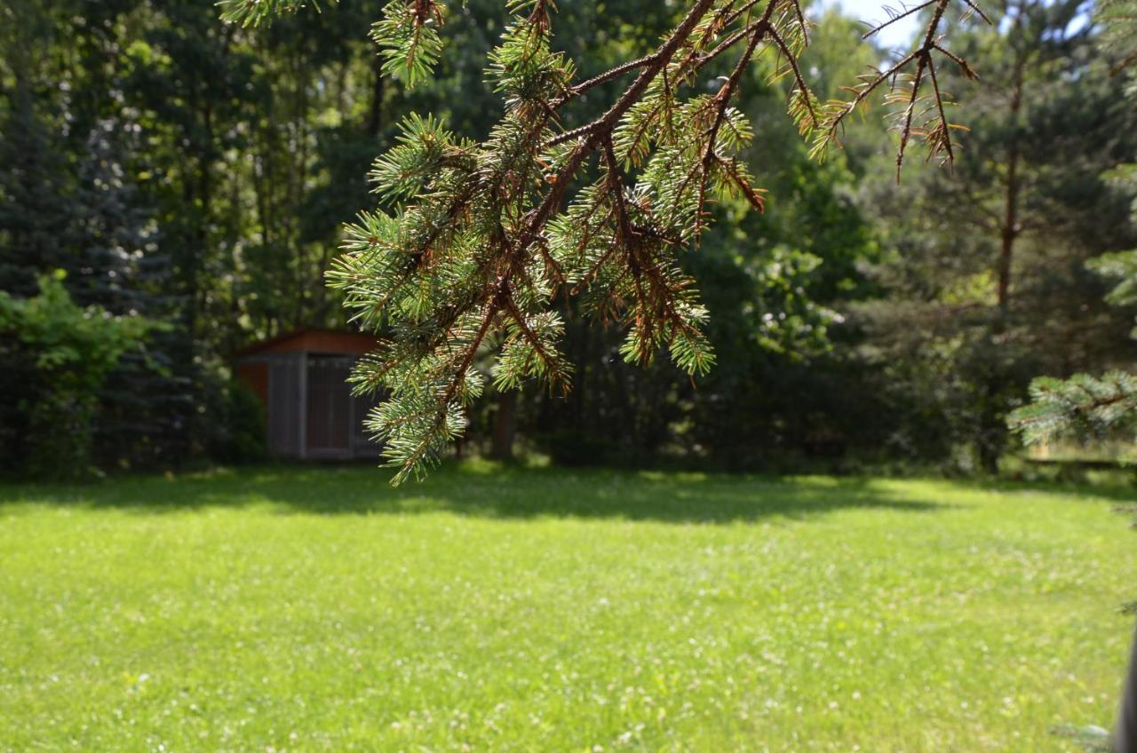 Agroturystyka Czekaj Przy Suntago Lublinow Εξωτερικό φωτογραφία
