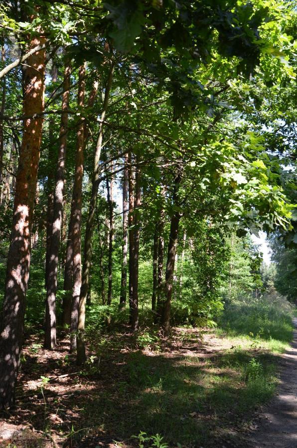 Agroturystyka Czekaj Przy Suntago Lublinow Εξωτερικό φωτογραφία